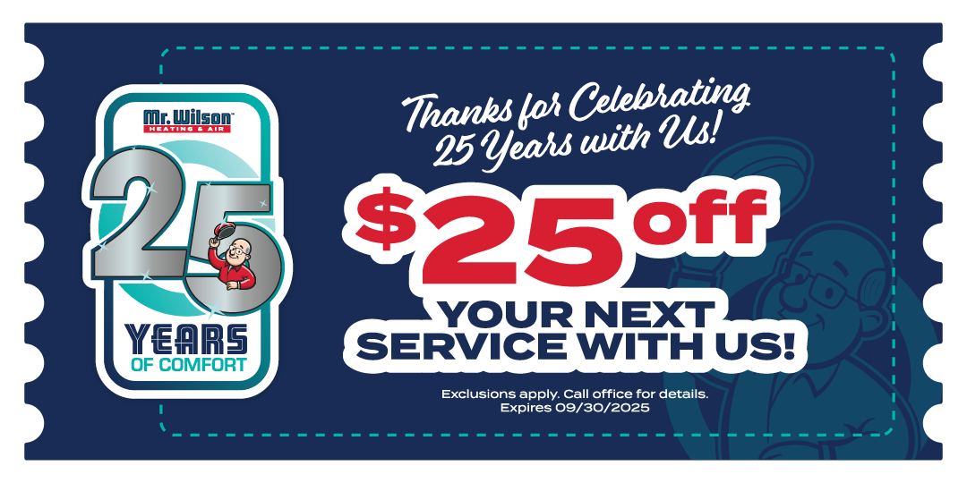 Experience the Freedom of a Reliable System – Celebrate 25 Years with Us!